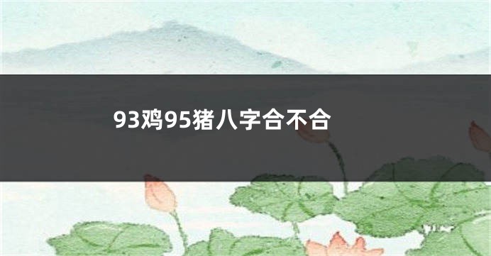 93鸡95猪八字合不合