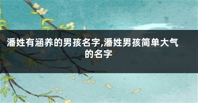 潘姓有涵养的男孩名字,潘姓男孩简单大气的名字