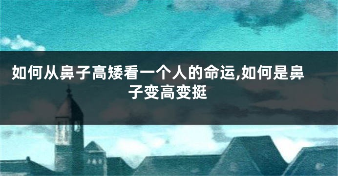 如何从鼻子高矮看一个人的命运,如何是鼻子变高变挺