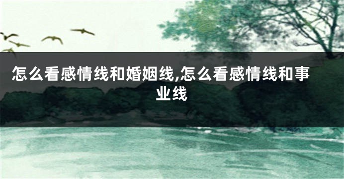 怎么看感情线和婚姻线,怎么看感情线和事业线