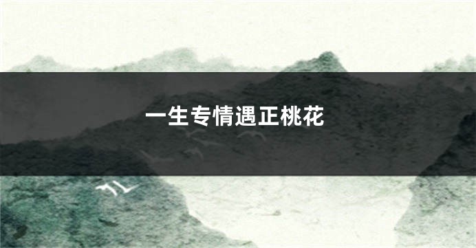 一生专情遇正桃花