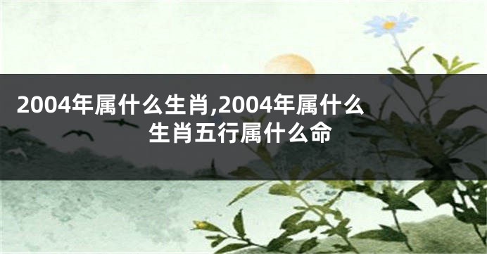 2004年属什么生肖,2004年属什么生肖五行属什么命