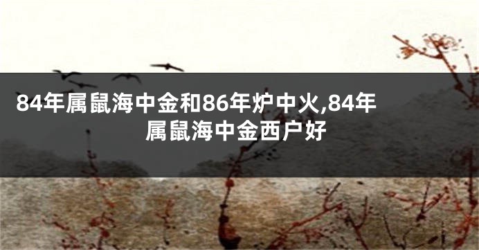 84年属鼠海中金和86年炉中火,84年属鼠海中金西户好