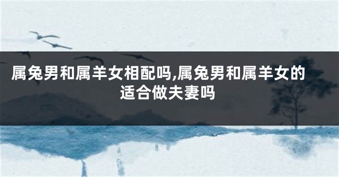 属兔男和属羊女相配吗,属兔男和属羊女的适合做夫妻吗