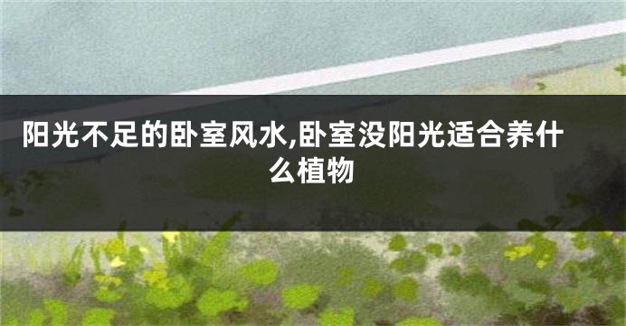 阳光不足的卧室风水,卧室没阳光适合养什么植物