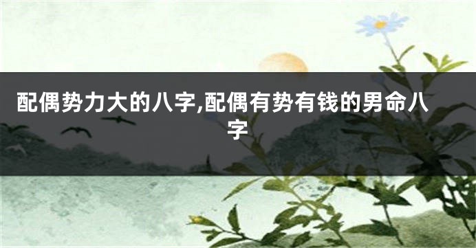 配偶势力大的八字,配偶有势有钱的男命八字