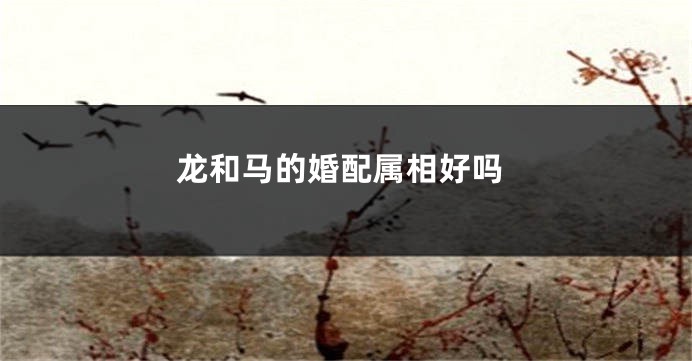 龙和马的婚配属相好吗
