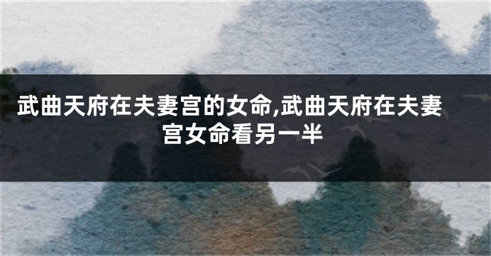 武曲天府在夫妻宫的女命,武曲天府在夫妻宫女命看另一半