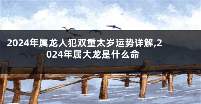 2024年属龙人犯双重太岁运势详解,2024年属大龙是什么命