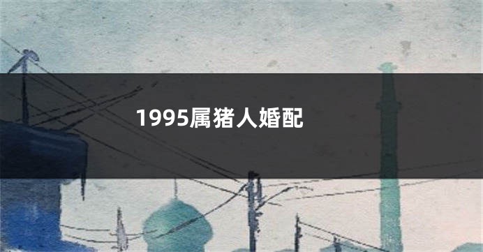 1995属猪人婚配