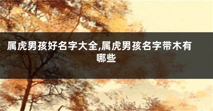 属虎男孩好名字大全,属虎男孩名字带木有哪些