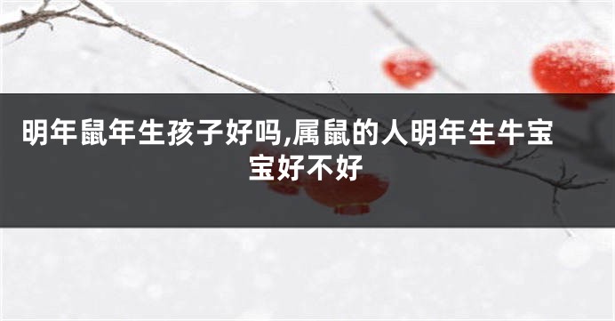 明年鼠年生孩子好吗,属鼠的人明年生牛宝宝好不好