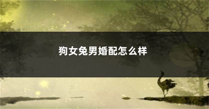 狗女兔男婚配怎么样