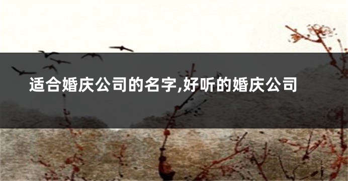 适合婚庆公司的名字,好听的婚庆公司