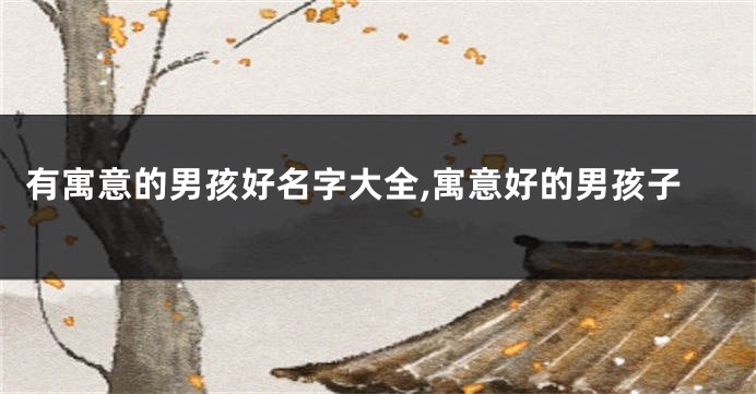 有寓意的男孩好名字大全,寓意好的男孩子