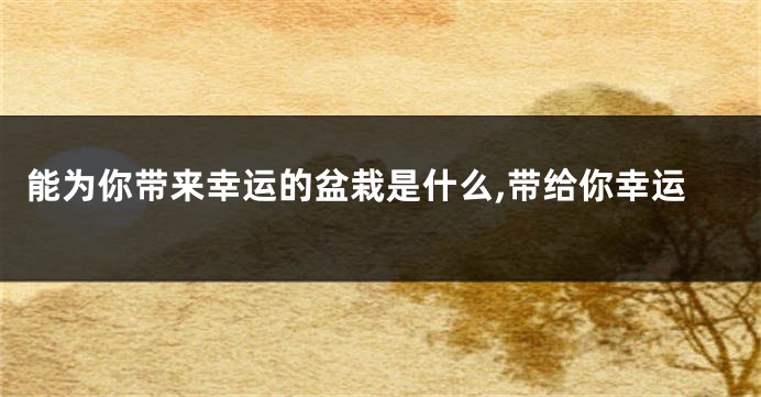 能为你带来幸运的盆栽是什么,带给你幸运