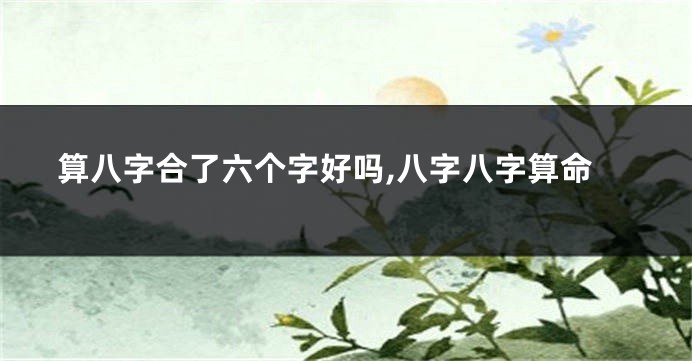 算八字合了六个字好吗,八字八字算命