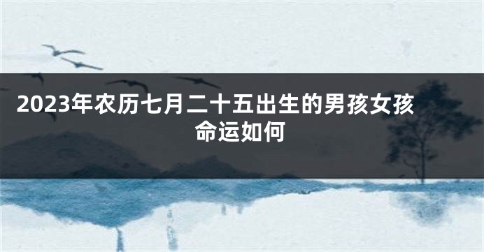 2023年农历七月二十五出生的男孩女孩命运如何
