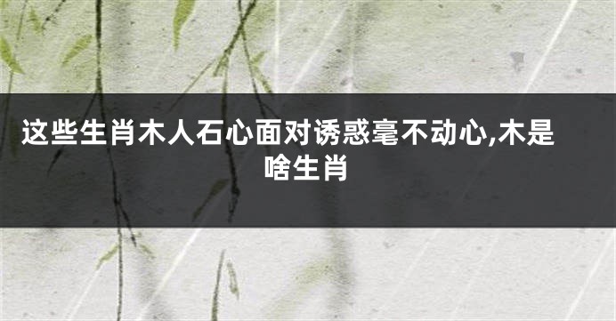 这些生肖木人石心面对诱惑毫不动心,木是啥生肖
