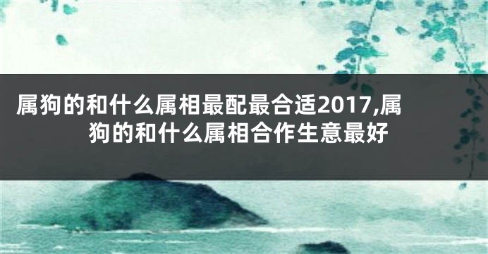 属狗的和什么属相最配最合适2017,属狗的和什么属相合作生意最好