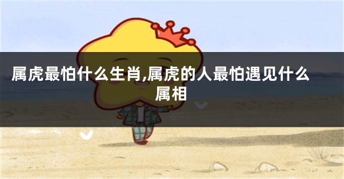 属虎最怕什么生肖,属虎的人最怕遇见什么属相