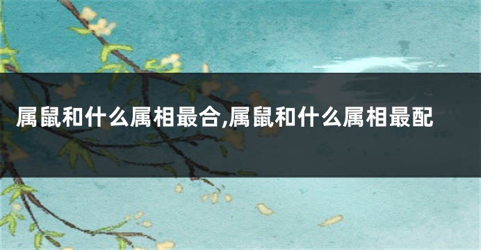 属鼠和什么属相最合,属鼠和什么属相最配