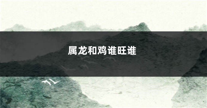 属龙和鸡谁旺谁