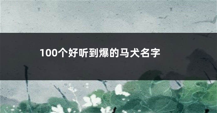 100个好听到爆的马犬名字