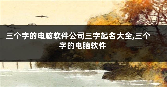 三个字的电脑软件公司三字起名大全,三个字的电脑软件