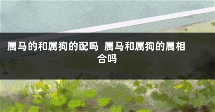 属马的和属狗的配吗  属马和属狗的属相合吗