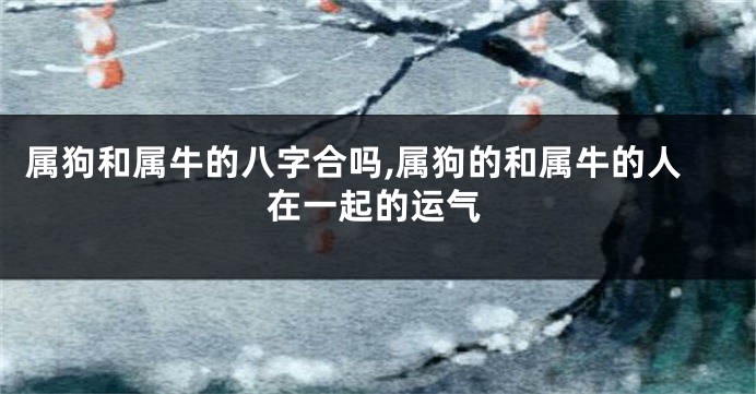 属狗和属牛的八字合吗,属狗的和属牛的人在一起的运气