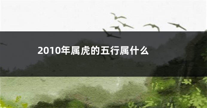 2010年属虎的五行属什么