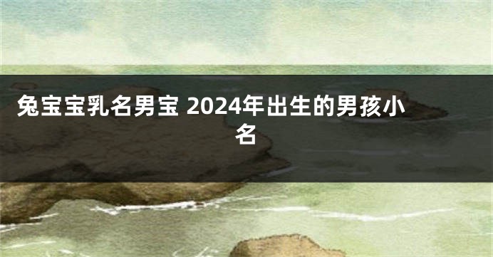 兔宝宝乳名男宝 2024年出生的男孩小名