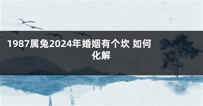 1987属兔2024年婚姻有个坎 如何化解