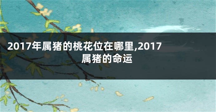 2017年属猪的桃花位在哪里,2017属猪的命运