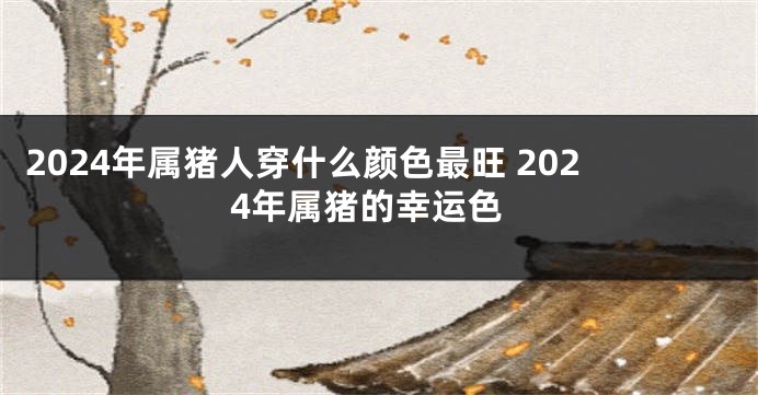 2024年属猪人穿什么颜色最旺 2024年属猪的幸运色