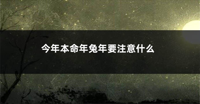 今年本命年兔年要注意什么