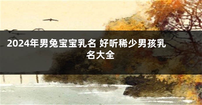 2024年男兔宝宝乳名 好听稀少男孩乳名大全