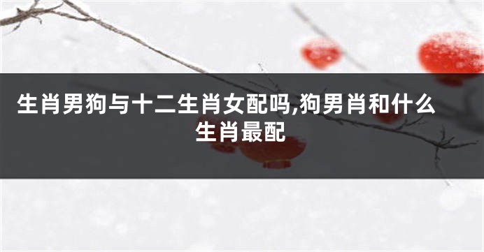 生肖男狗与十二生肖女配吗,狗男肖和什么生肖最配
