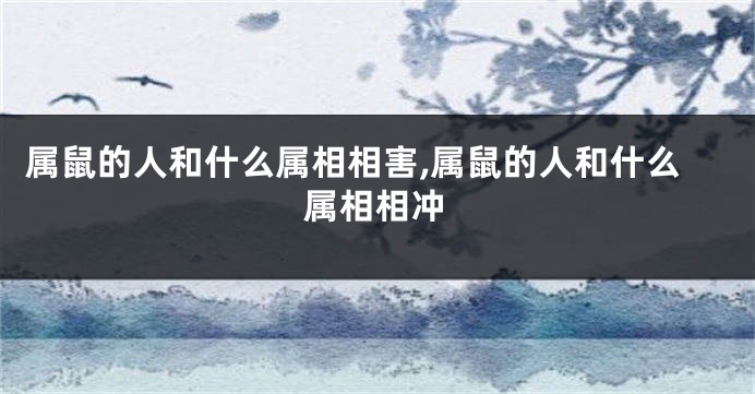 属鼠的人和什么属相相害,属鼠的人和什么属相相冲