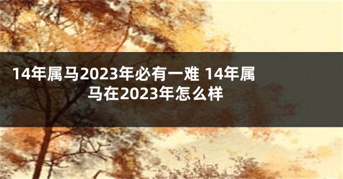 14年属马2023年必有一难 14年属马在2023年怎么样