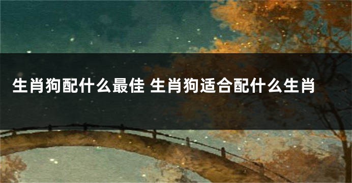 生肖狗配什么最佳 生肖狗适合配什么生肖