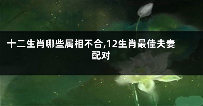 十二生肖哪些属相不合,12生肖最佳夫妻配对