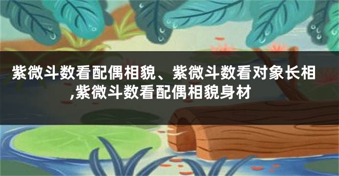 紫微斗数看配偶相貌、紫微斗数看对象长相,紫微斗数看配偶相貌身材