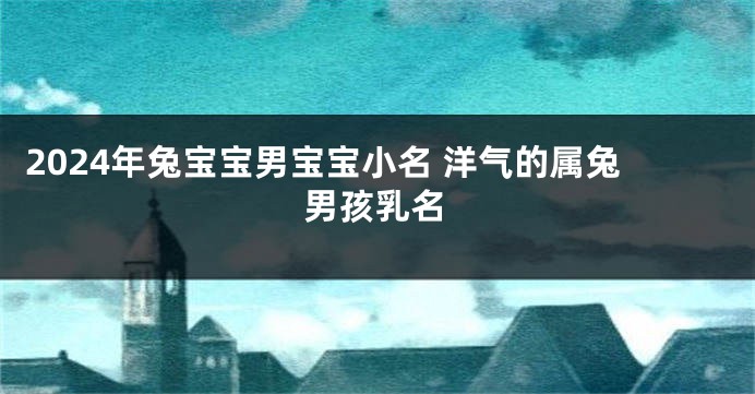 2024年兔宝宝男宝宝小名 洋气的属兔男孩乳名