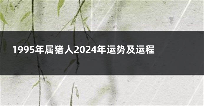 1995年属猪人2024年运势及运程