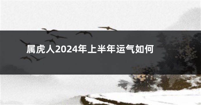 属虎人2024年上半年运气如何