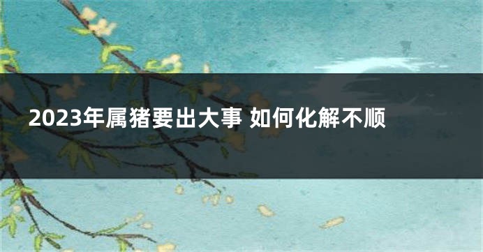 2023年属猪要出大事 如何化解不顺