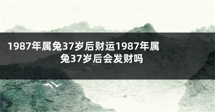 1987年属兔37岁后财运1987年属兔37岁后会发财吗