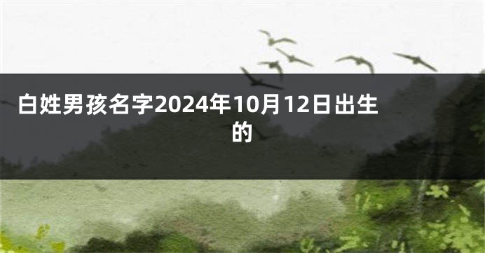 白姓男孩名字2024年10月12日出生的